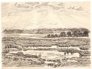 Mooslandschap met lage zon