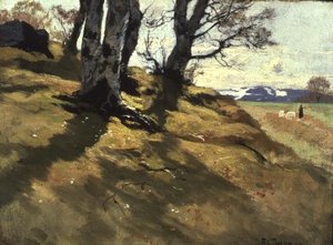 Landschap bij Stord, Noorwegen