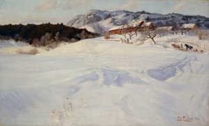 Sneeuwlandschap met slee, Fleksum