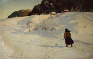 Winterscène met een Skiër