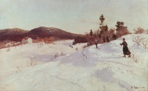 Winter met skiër