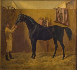 Zwarte Komeet