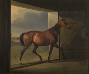 Jutta door Fritz Thomsen