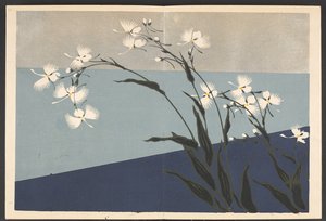 Shasei sôka môyô, Patronen van planten en bloemen uit het leven door Furuya Korin