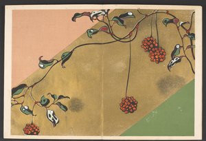 Shasei sôka môyô, Patronen van planten en bloemen uit het leven door Furuya Korin