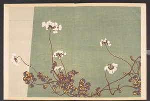 Shasei sôka môyô, Patronen van planten en bloemen uit het leven