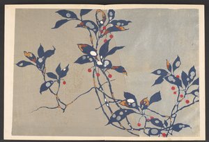 Shasei sôka môyô, Patronen van planten en bloemen uit het leven door Furuya Korin