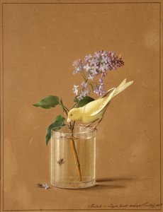 Kanarie op een Seringentakje, 1819