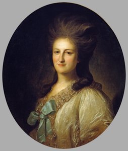 Russisch: "Portret van V.E. Novosiltsova" Portret van V.E. Novosiltsova. Novosiltsova
