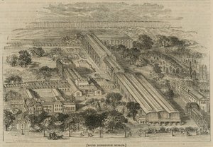 South Kensington Museum, Londen