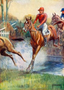 Illustratie voor Black Beauty