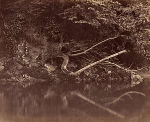 Oever van de rivier in de Vale of Neath, ca. 1855 door G. B. Gething