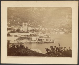 Monte Carlo duivenschieten door G. J.