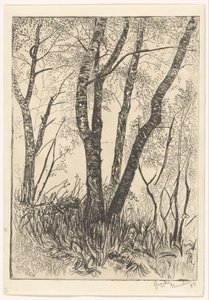 Bomen in hoog gras door G. van der Mey (signed by artist)