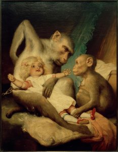Antropologische les