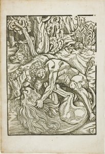 Hercules Wurgt de Nemeïsche Leeuw, uit de Werken van Hercules door Gabriel Salmon