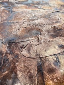  door Gabriela Aleksandra Szuba