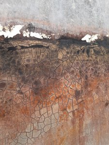  door Gabriela Aleksandra Szuba