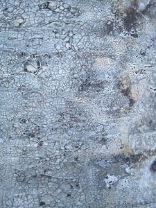  door Gabriela Aleksandra Szuba