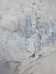  door Gabriela Aleksandra Szuba