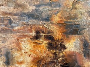  door Gabriela Aleksandra Szuba