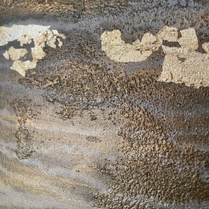  door Gabriela Aleksandra Szuba