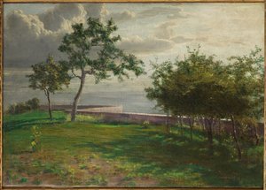 Uitzicht met bomen en een kleine muur