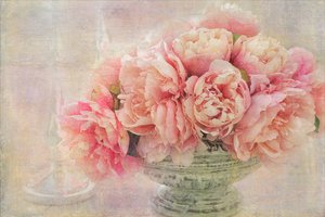  door Gaille Gray
