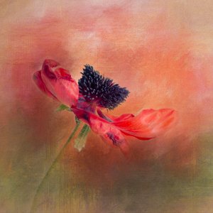  door Gaille Gray