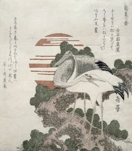 Kraanvogel (Tsuru) uit de serie 2 ontwerpen van Kraanvogels en Schildpadden, 1818-30 door Gakutei Harunobu