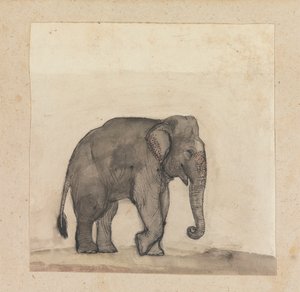 Olifant