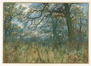 Bomen en Onderbegroeiing, 1885 door Garden William Fraser