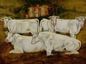 Charolais Stieren, Dippenhall, Farnham