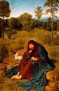 Johannes de Doper in de wildernis