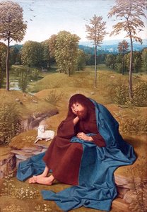 Johannes de Doper in de woestijn door Geertgen Tot sint Jans