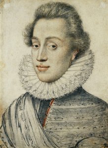 Portret van een jonge man van kwaliteit, halve lengte, in een hoge kraag door Geoffroy Dumonstier