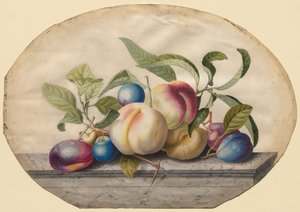 Fruitarrangement: Perziken en pruimen op een marmeren plaat, 1742