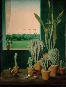 Cactussen en semafoor