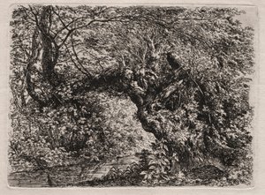 De Oude Wilg bij een Beek, 1794 door Georg von Dillis
