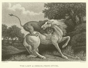 De Leeuw en het Paard, van Stubs