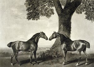 Twee Jagers (gegraveerd door G.T. Stubbs)