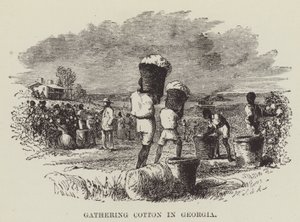Katoen verzamelen in Georgia door George Augustus Sala