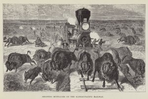 Buffels schieten op de Kansas-Pacific Railway door George Augustus Sala