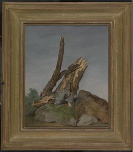 Studie van Rotsen en Takken, c.1795