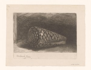 De schelp door George Bickham (II)