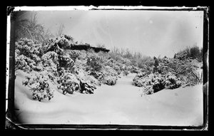 Rozenprieel van beneden, Prospect Park, Brooklyn, ca. 1872-87