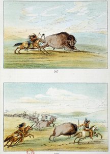 Amerikaanse Indianen: bizonjacht. Illustratie door George Catlin (1794-1872) door George Catlin
