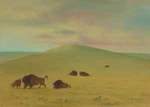 Amerikaanse weiden - Prairies van de Platte