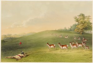  door George Catlin