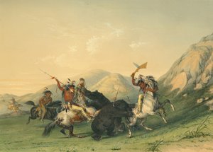 Aanval op de grizzlybeer door George Catlin